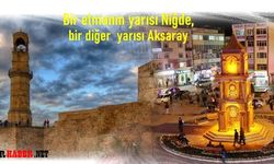 Niğde'den Aksaray'a Bakış