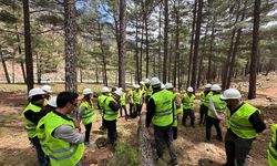 Orman İşletme Personellerine Üretim Tatbikatı Verildi