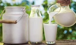 Süt üretimi mayısta yüzde 11 azaldı