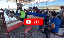 Niğde'de Horoz Döğüşü Yapılan Köye Jandarma Operasyon Yaptı