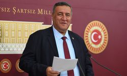 Gürer, “İşsiz nüfusun 3’te biri üniversite mezunu”