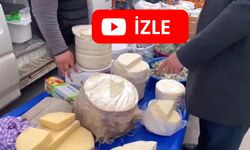 Peynir fiyatları “Çökelek”e yol verdi