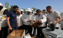 Üniversitede Uygulamalı Ana Arı Yetiştiriciliği Eğitimi Düzenlendi