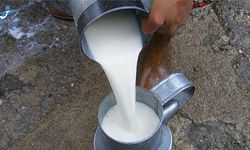 Çiğ süt üretimi yıllık bazda azaldı