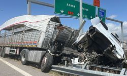 TIR bariyerlere çarptı: 2 kişi yaralı, 7 büyükbaş hayvan öldü