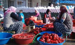 Niğde’de organik salça sezonu başladı