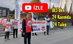 AES’ten 24 Kasımda 24 Talep