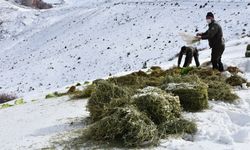 Yaban Hayvanları İçin Kış Hazırlığı yapıldı