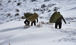 Yaban Keçileri İçin doğaya 1,5 Ton Yonca Bırakıldı