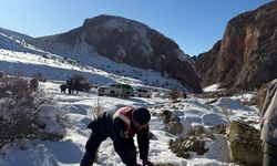 Niğde’de Yaban Hayatına Destek: Dağ Keçileri İçin Besleme Çalışması Yapıldı