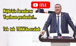 Niğde'nin Sorunlarını TBMM Kürsüsünde Dile Getirdi