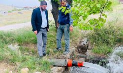 Gümüşler Belediyesi’nden Don Afeti Mağduru Çiftçilere Destek