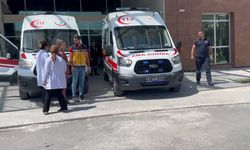 Niğde’de Mantardan Zehirlenen 3 Kişi Hastaneye Kaldırıldı