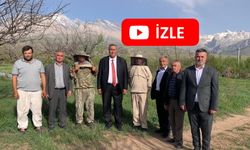 Sahte Bal, Arıcılığı vuruyor