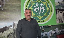Niğde'de Küçükbaş Hayvan Yetiştiricilerine Destek Ödemesi