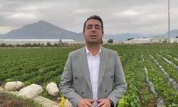 Savaşmadan Bu Kadar Kaybeden Var mı?