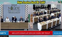 Niğde Esnafı Pazar Günü Tatil Yapsın!, Çok Güzel Fikir, Tartışalım