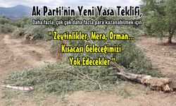 Doğaya savaş kararı: TBMM’ye sunulan yasa teklifine sert tepki!