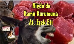 Yemeklere At Eşek Eti Satan Firma Niğde'deki Kamu Kurumundan İhale Almış