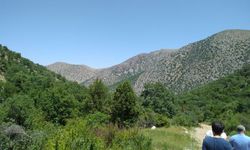 Niğde’de 1 Ağustos – 31 Ekim Arasında Ormanlara Giriş Yasaklandı