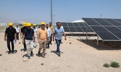 NÖHÜ Kendi Elektriğini Üretiyor