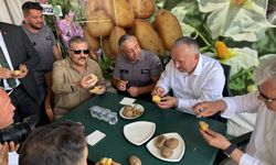 Yerli ve Milli Patates Çeşitleri Nevşehir’de tanıtıldı