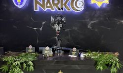 Niğde’de Narkotik Operasyonu: 3 Tutuklama