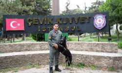 Emniyet'in Gizli Gücü Asayiş Köpekleri
