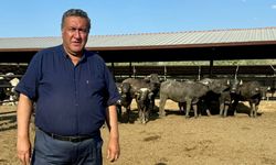 Gürer: “Manda, iklim değişikliğinin ilk kurbanlarından biri”