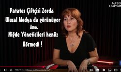 Niğde Patatesi