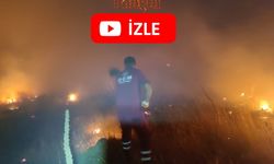 Koyunlu ve Fesleğen Köylerinin Yüksek Kesimlerinde Yangın
