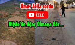 Niğde’de Ağaç Olamaya Gör.