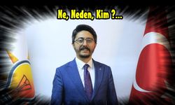 Ak Parti Niğde İl Başkanı... Ne, Neden, Kim?