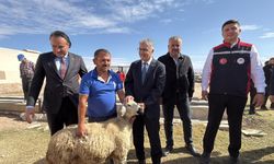 Vali Çelik: Devlet-Millet İş Birliğiyle Üreticilerin Yaralarını Sarıyoruz