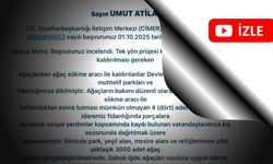 CHP’li Atila’nın ağaç kesimi sorusuna belediyeden ilginç yanıt