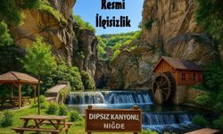 Dipsiz Kanyonu Yapay Zekaya Sorduk : "Resmi İlgisizlik" dedi