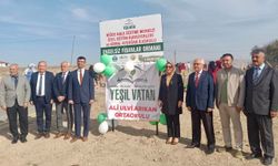 Niğde’de “Engelsiz Fidanlar Ormanı” Hayat Buldu