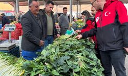 Güzelavrat Otu Uyarısı: Tarım ve Orman Müdürlüğünden Denetim Seferberliği