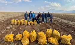 Yerli Patates Çeşitleri Kazımkarabekir’de Hasat Edildi