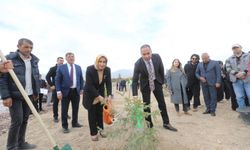 Öğretmenler Günü’nde, Öğretmenler İçin Fidan Dikildi