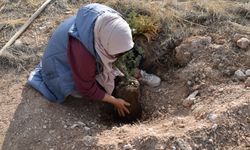 Niğde’de 5 Bin fidan toprakla buluştu