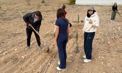 Öğretmen adayları öğretmenler günü için ağaç dikti...