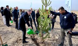 Nöhü’de “Bal Ormanı” Kuruldu