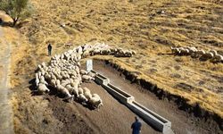 Beyağıl Köyü Meralarında Hayvan İçme Suyu Alanı oluşturuldu