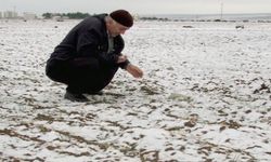 Niğde’de Kar Yağışı Çiftçinin Yüzünü Güldürdü