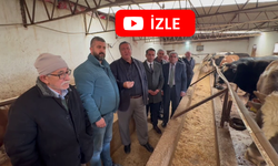 Gürer: Et ve Sütte Zor Sürece Giriliyor