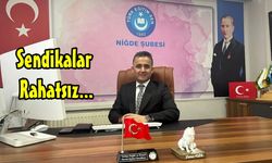 Türk Eğitim-Sen Niğde: “Ödül mü, Adaletsizlik mi?”