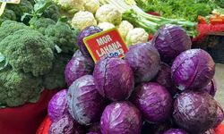 Kara Lahana Bor'da Tarlada 5 lira,  Bursa'da Pazarda Tanesi 80 lira