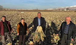 Gürer: “Emek Tarlada Kaldı”