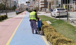 Niğde Bahara "Pırıl Pırıl" Giriyor